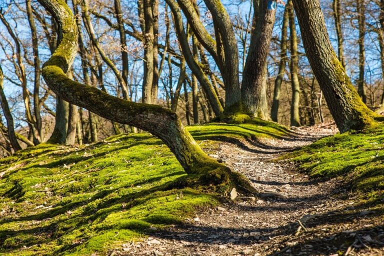 Antrag Mitgliedschaft bei Naturpark Augsburg – Westliche Wälder e.V.