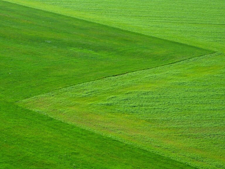 Anfrage zu den Ausgleichsflächen des Landkreises